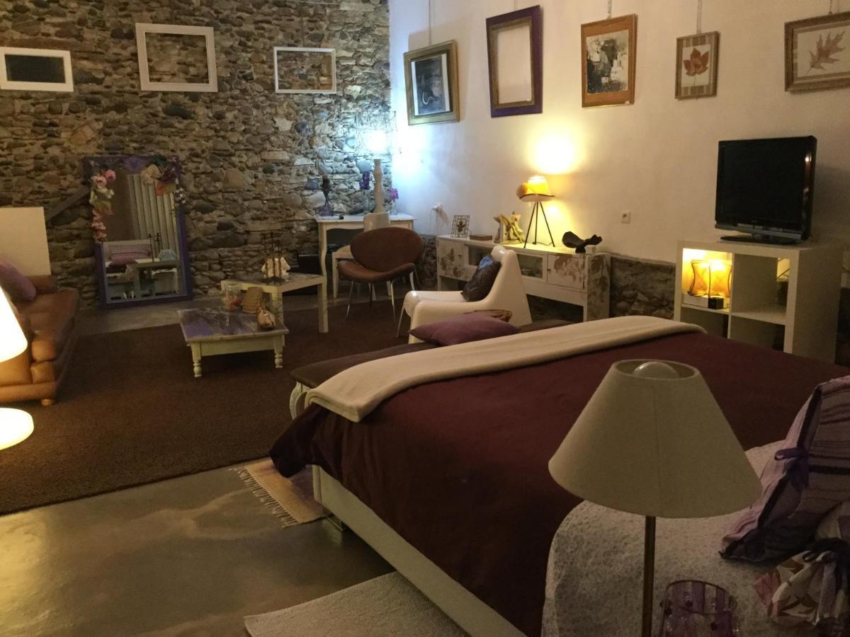 Bed and Breakfast Loft Atypique Villeneuve-de-Riviere Экстерьер фото